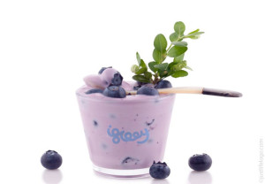 iglooy-logo-for-sale-yogurt